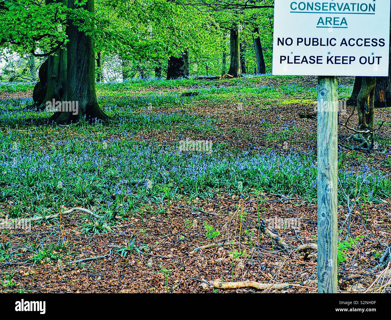 Nessun accesso pubblico segno in una natura di area di conservazione - Immagine stock catturata con smartphone