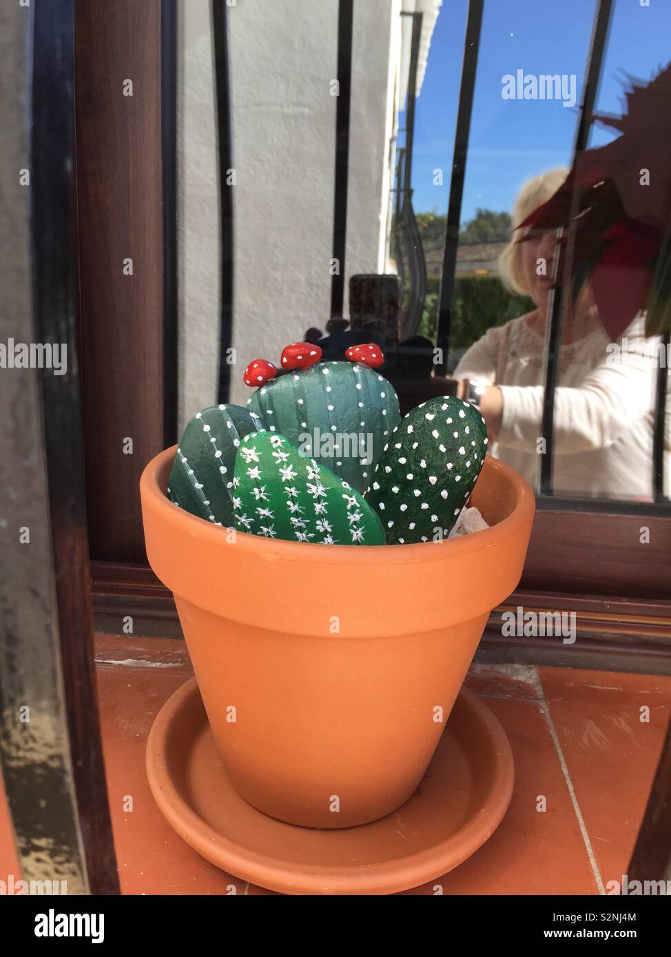 Cactus di pietra. Almeno non abbiamo acqua a loro! Foto Stock