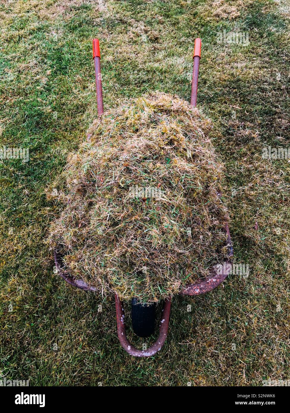 Erba morta, muschio e paglia dopo una è stata scarified Foto Stock