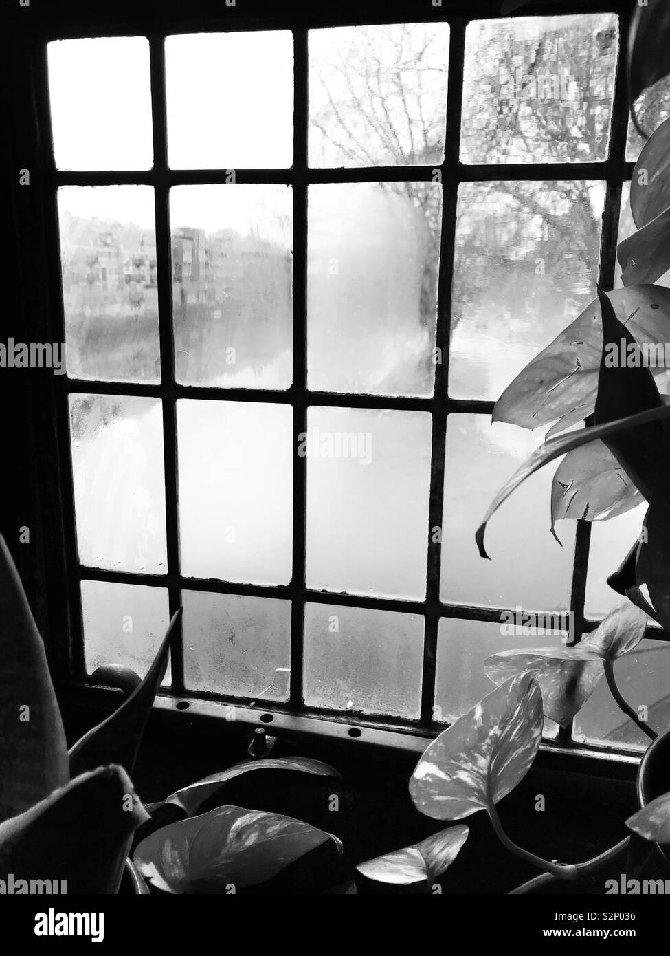 Foto in bianco e nero di una nebbiosa scena attraverso una finestra Foto Stock