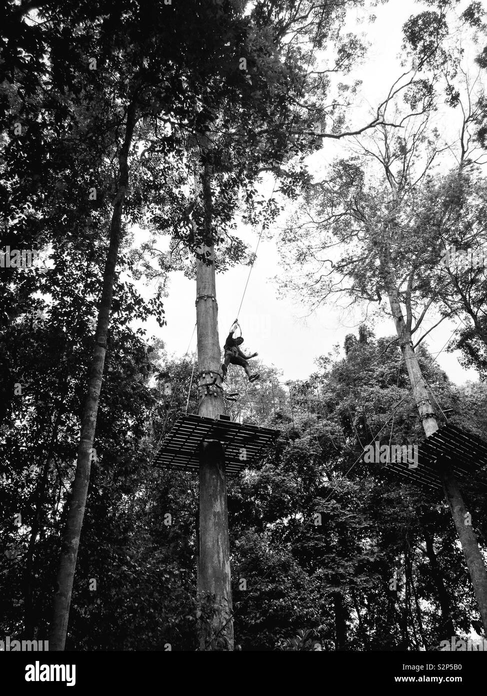 Zipline scivolando con mio fratello. Foto Stock