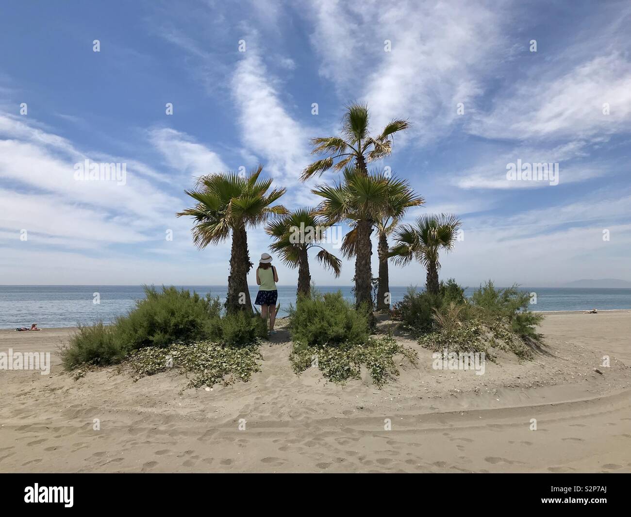 Una donna si erge tra alberi di palma guarda al mare. Foto Stock