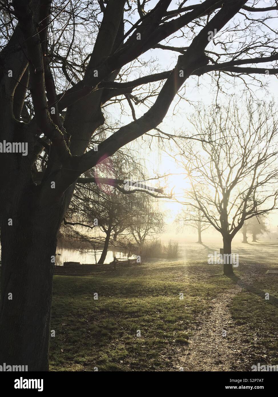 Ham Common stagno in inverno Foto Stock