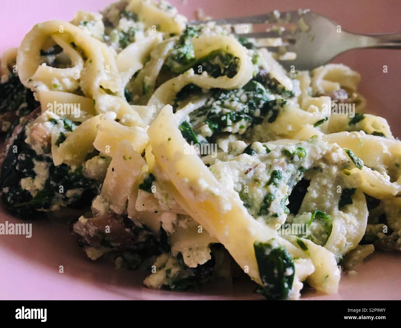 Tagliatelle con ricotta e spinaci servito in una ciotola rosa Foto Stock