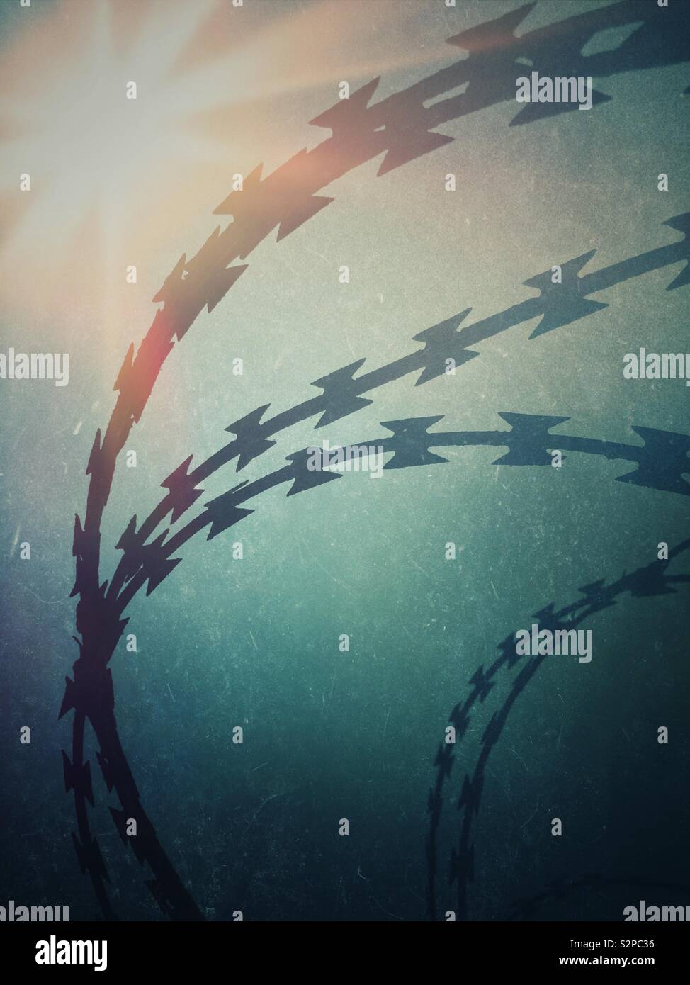 Concertina filo di rasoio Foto Stock