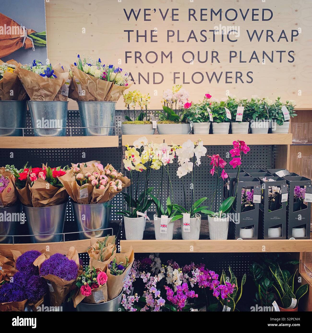 Waitrose Confezione di prova gratuita - Immagine stock catturata con smartphone
