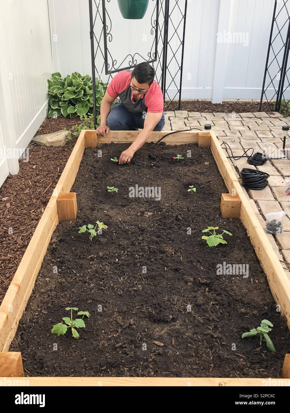 Uomo al lavoro su giardino Foto Stock