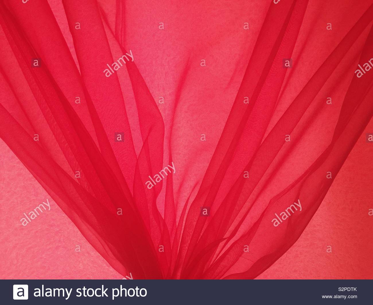 Chiffon rosa persiane Foto Stock