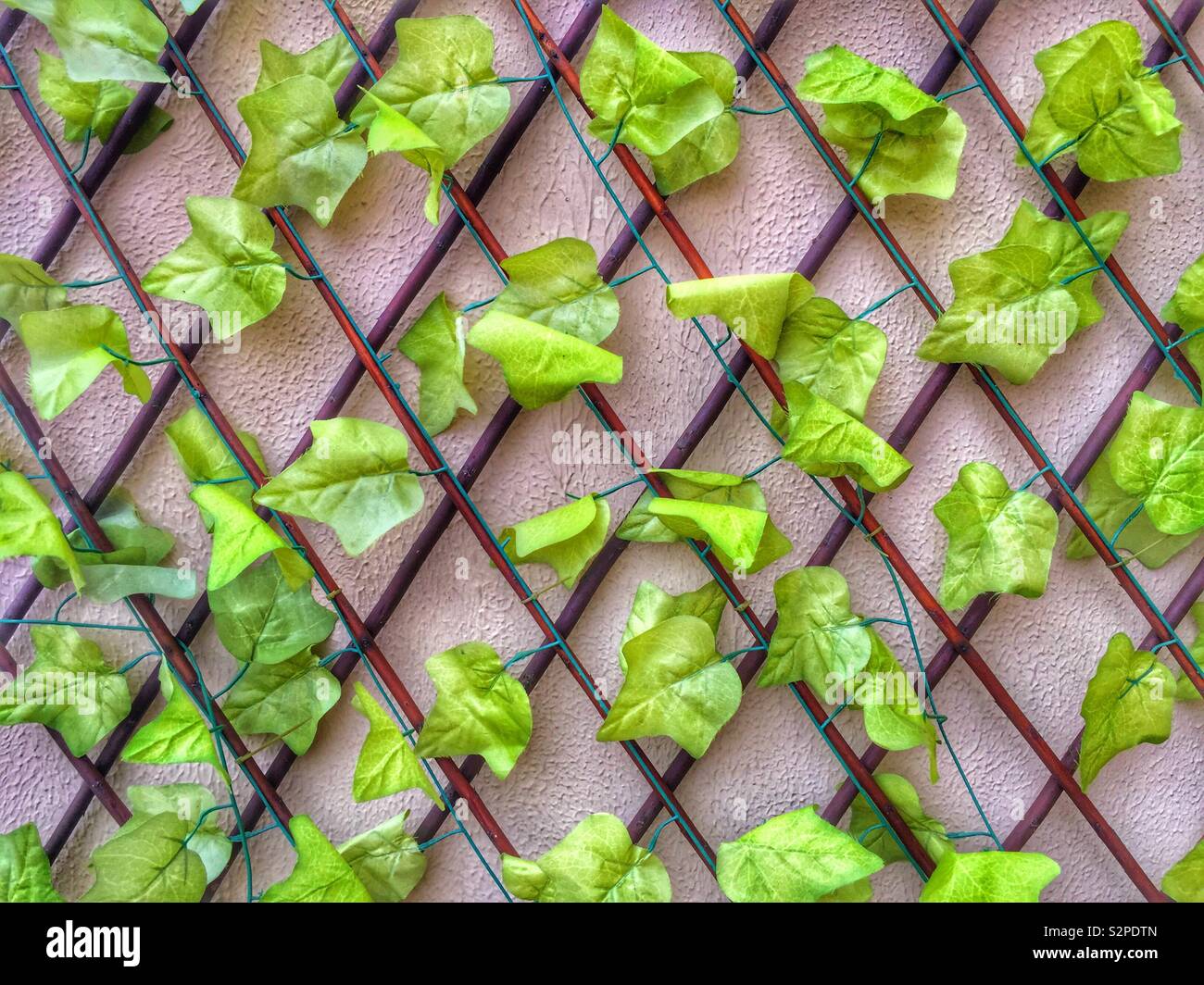 Plastica foglie verdi per la decorazione Foto Stock
