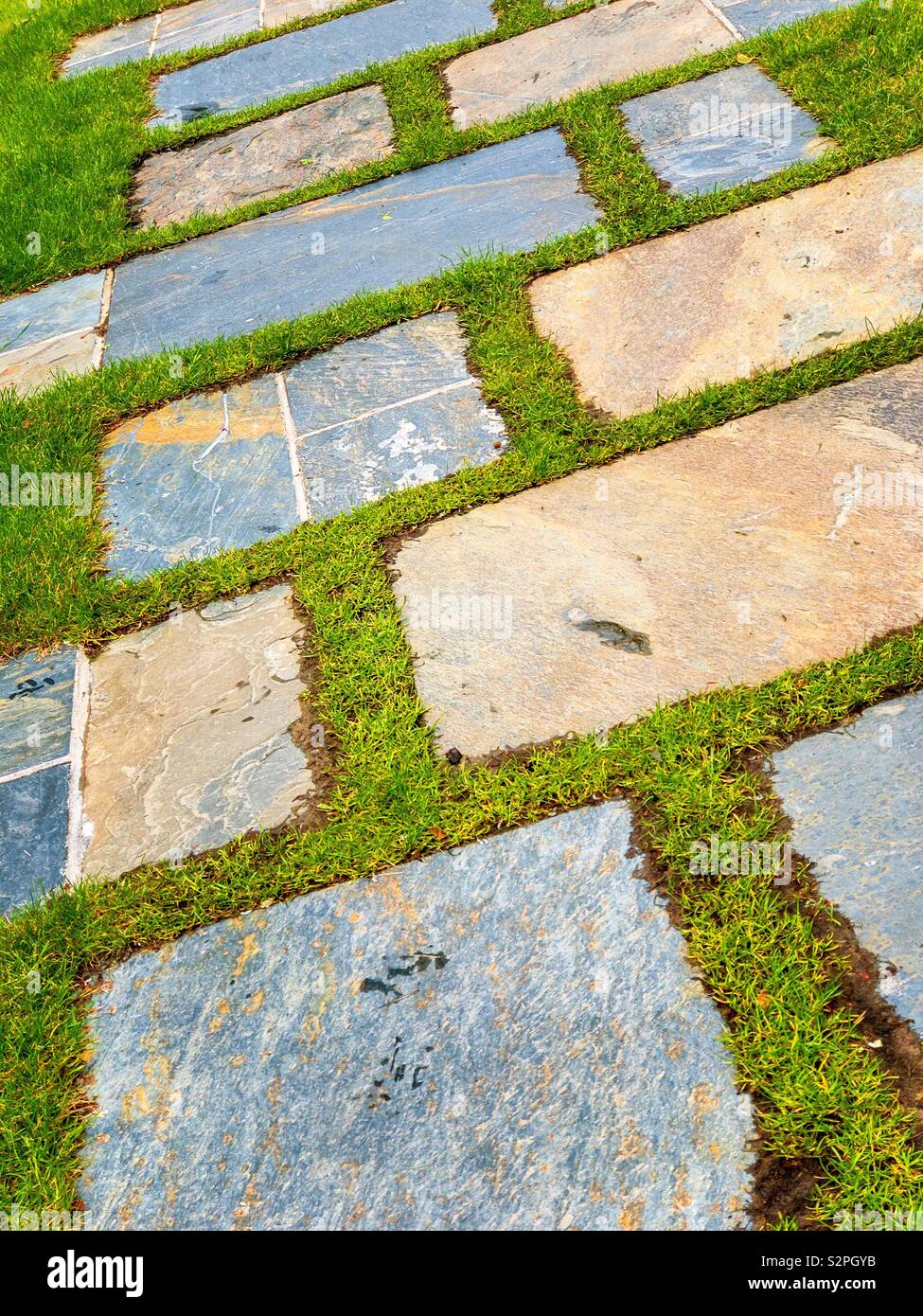 Percorso della pavimentazione in pietra lastre prevista in erba. Foto Stock
