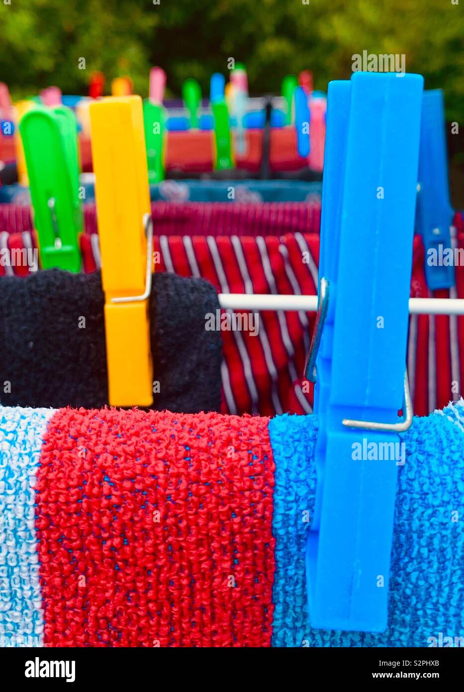 Abbigliamento colorato pioli appendere il lavaggio in giardino Foto Stock