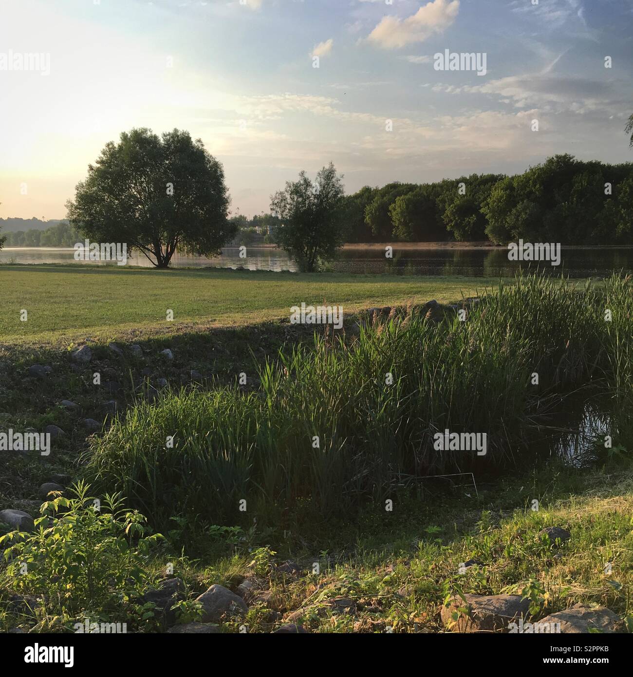 ,,Soleggiato paesaggio di primavera con campo di erba verde, alberi e il fiume - Immagine stock catturata con smartphone