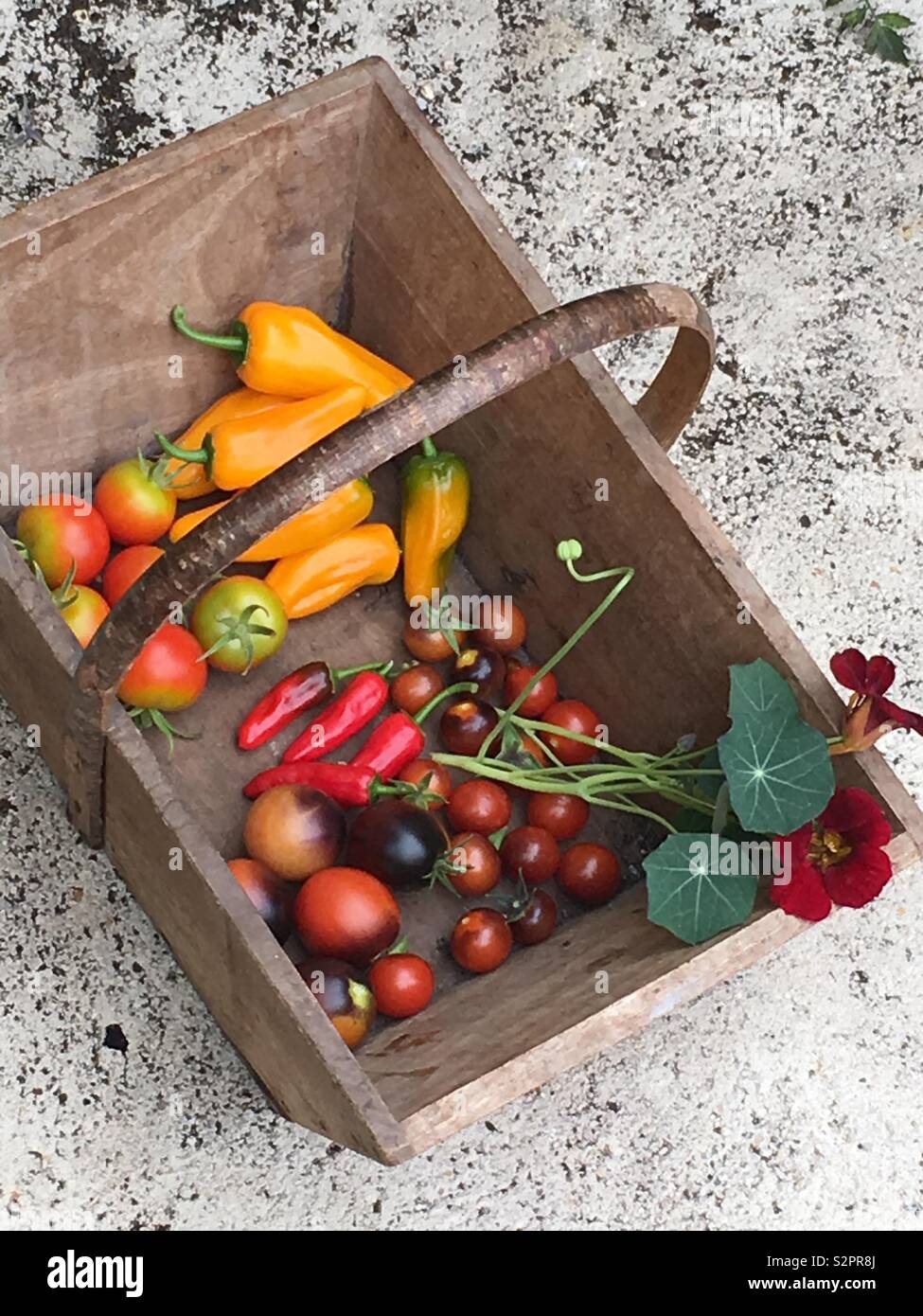 Trug in legno con cresciuto in casa produrre - Immagine stock catturata con smartphone