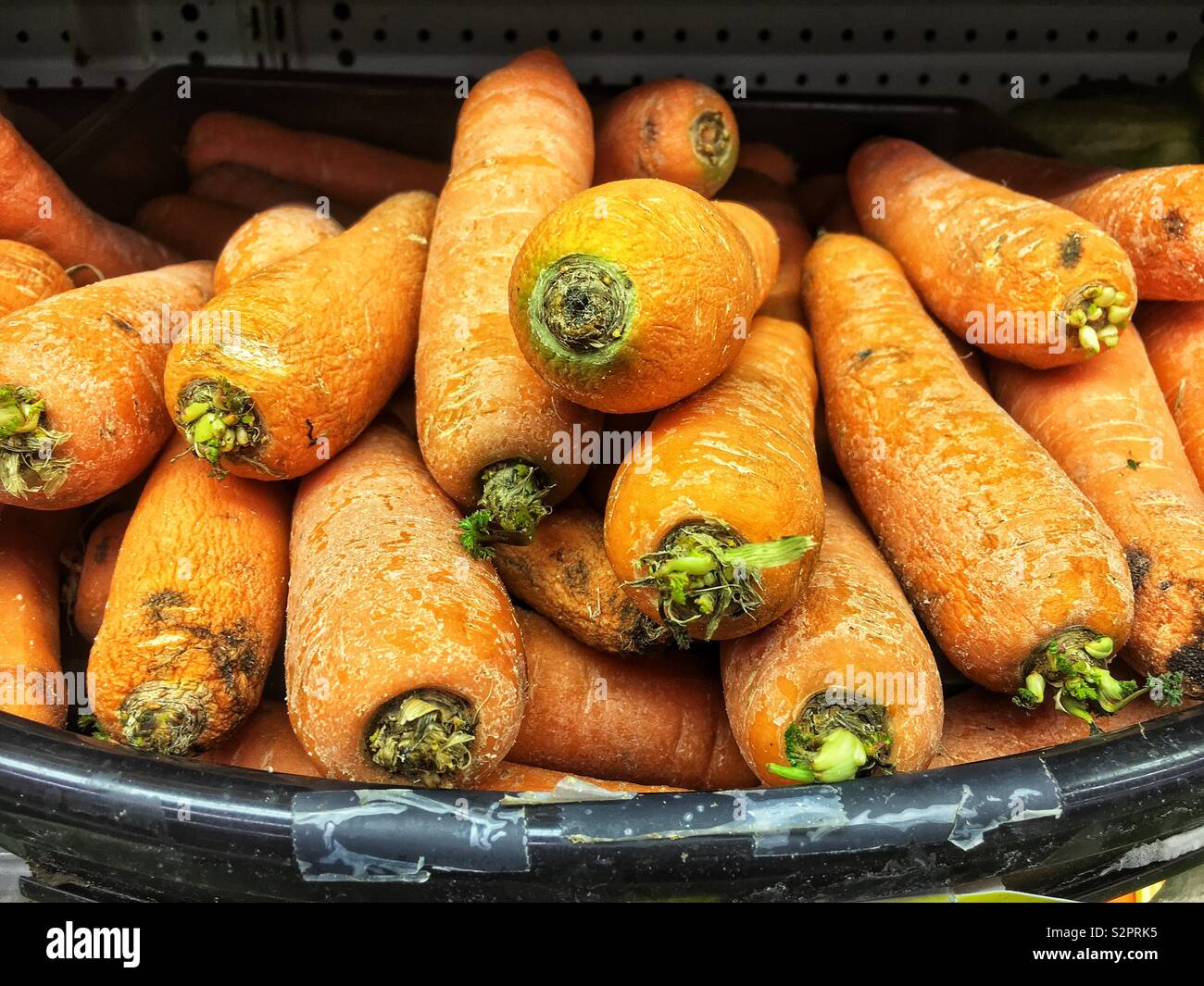 Fresche e mature arancio grezzo carote impilati in una ciotola. Foto Stock