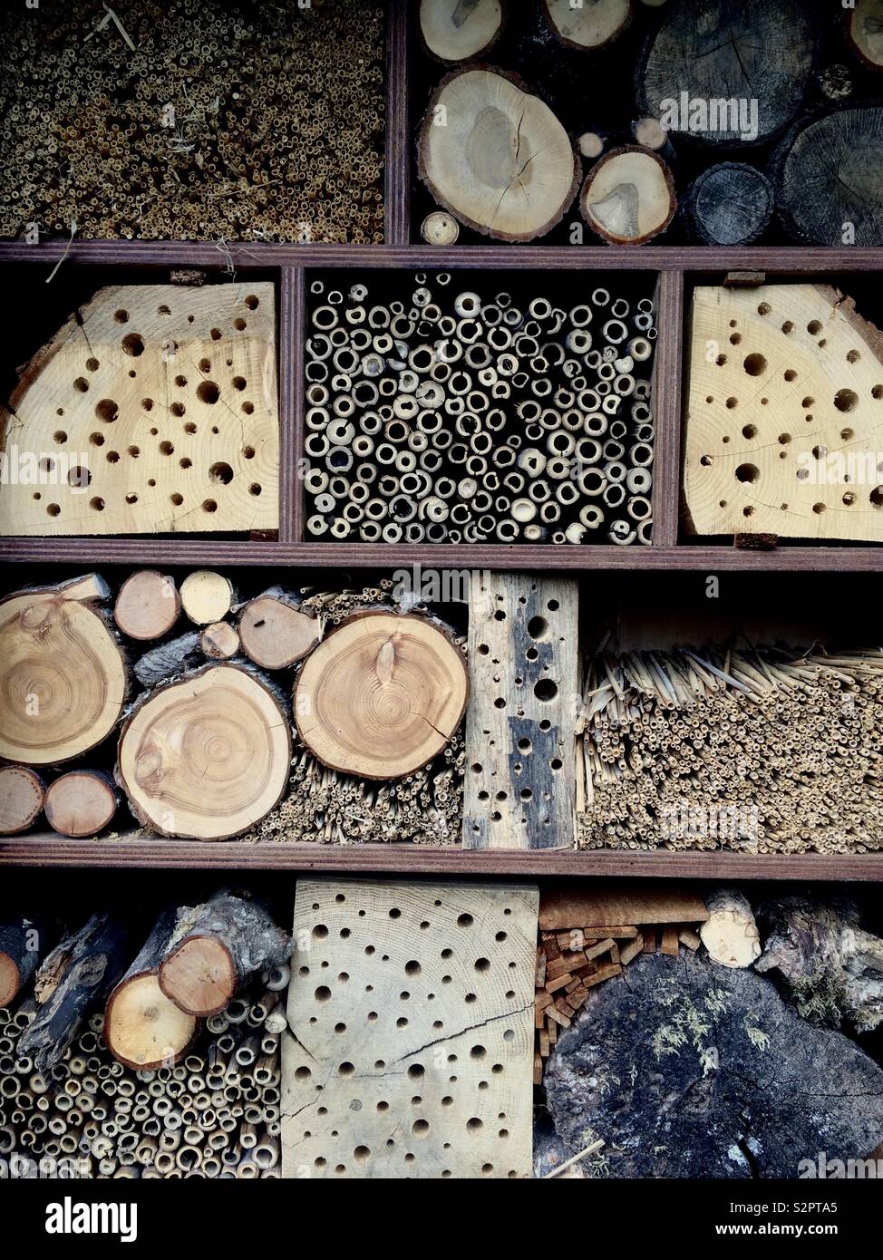 Diverse dimensioni di fori di entrata in Bee Hotel. Foto Stock