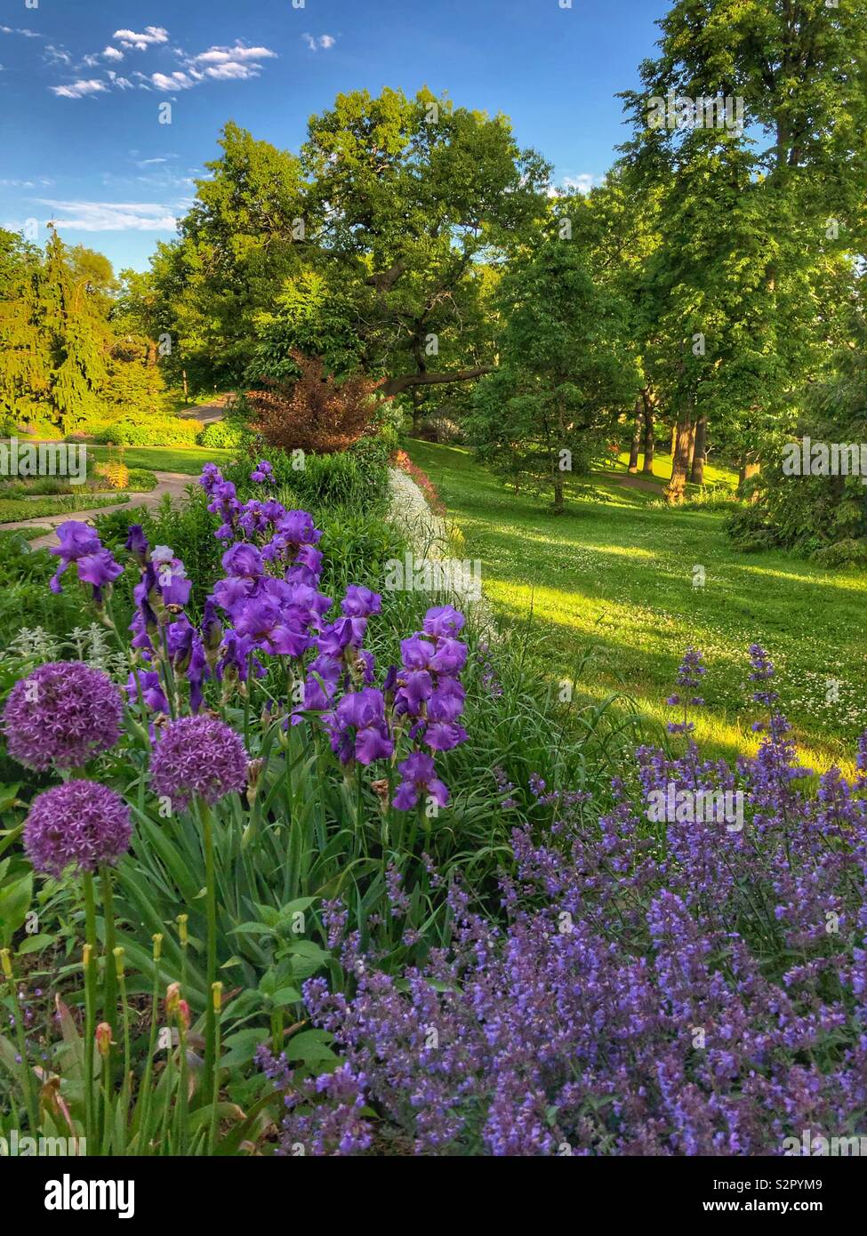 Un bellissimo giardino nel parco alta su una soleggiata giornata di primavera, Toronto, Canada. - Immagine stock catturata con smartphone