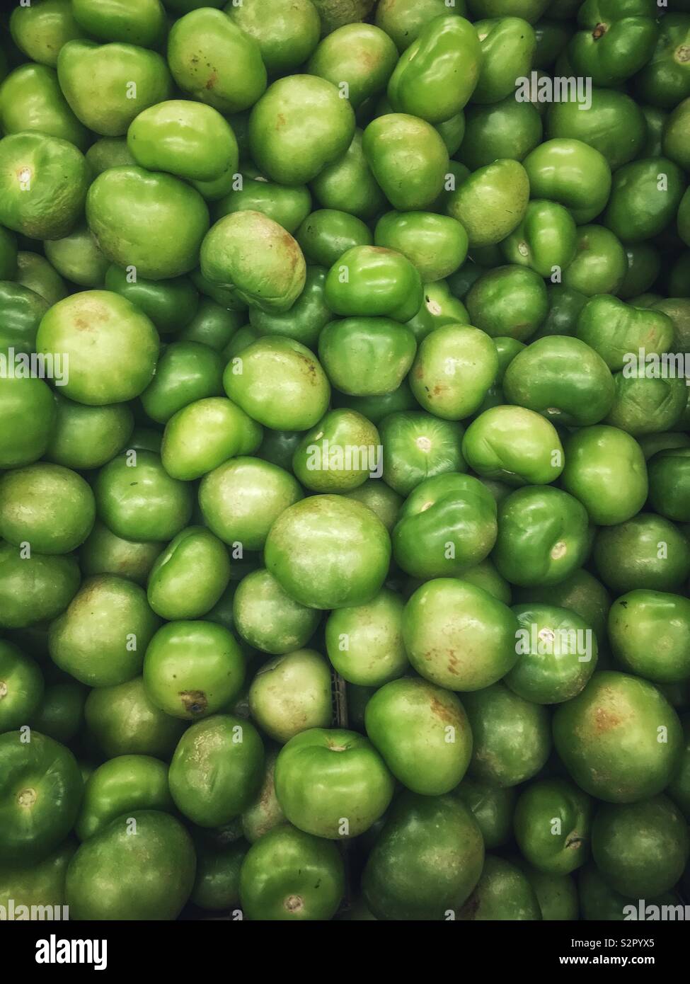 Full frame closeup di deliziosi piatti freschi maturi verde crudo tomatillos. Foto Stock