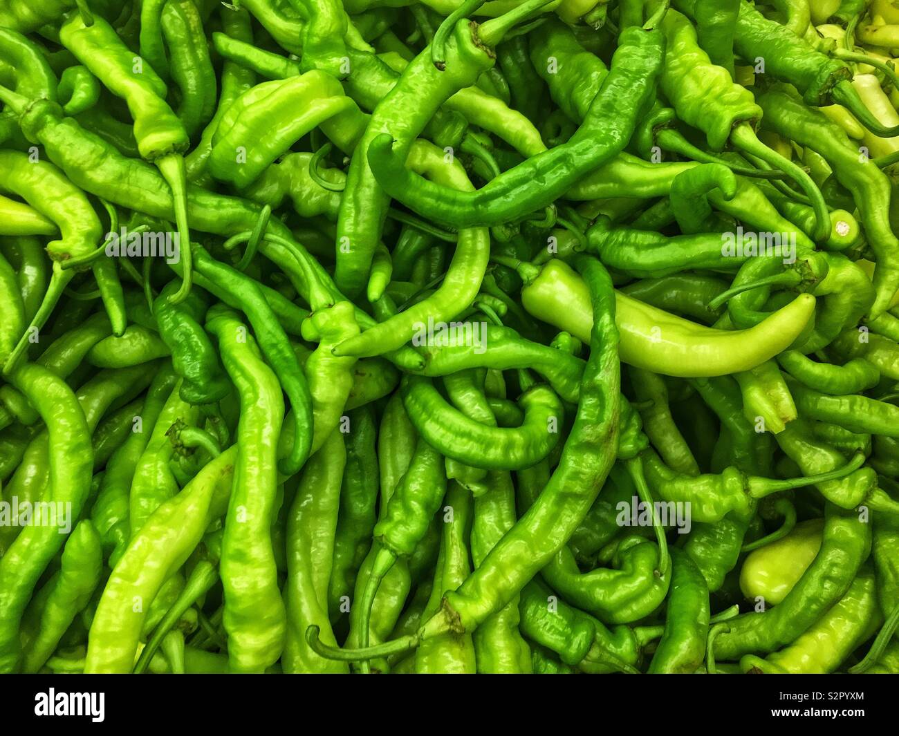 Full frame closeup di deliziosi piatti freschi maturi verde crudo shishito peperoni. Foto Stock