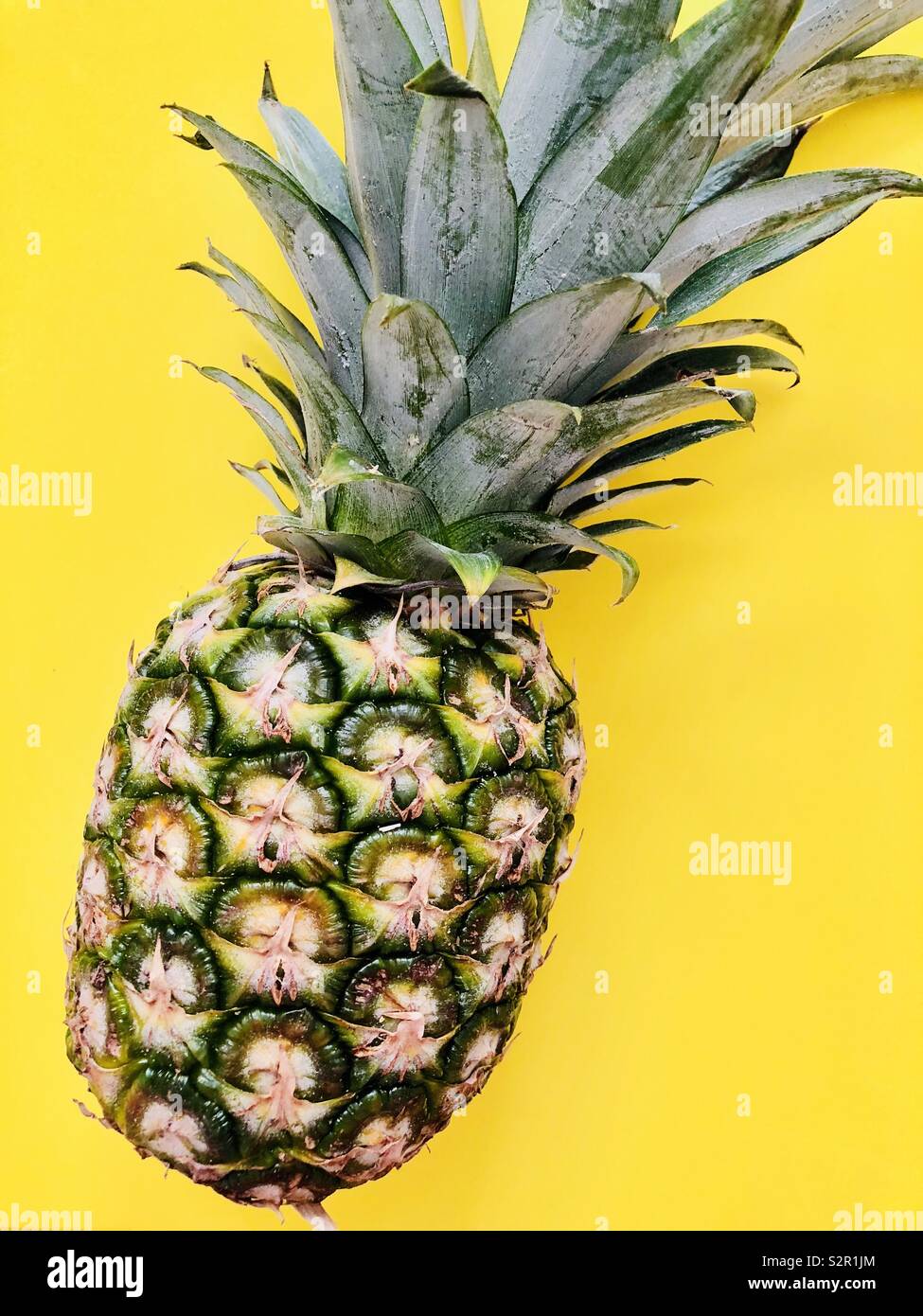 Ananas su sfondo giallo - Immagine stock catturata con smartphone