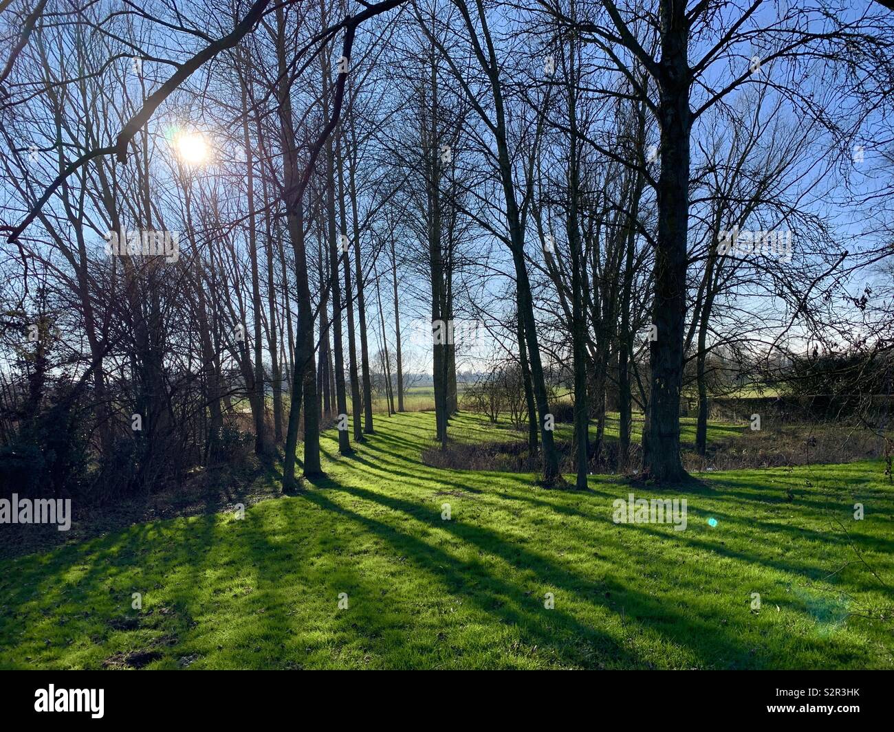 Ombre - Immagine stock catturata con smartphone