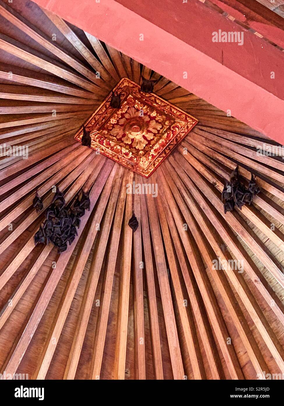 I pipistrelli sono ' appollaiati durante il giorno nella parte superiore aperta del tetto ornato di Bali, Indonesia. Foto Stock