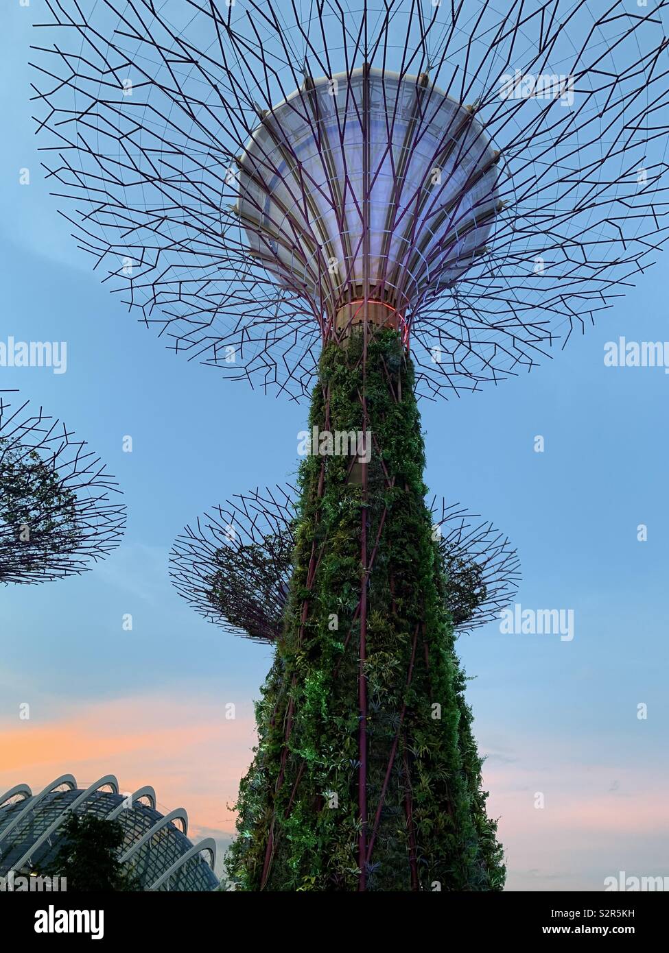Super alberi in giardini dalla Baia di Singapore al tramonto. - Immagine stock catturata con smartphone
