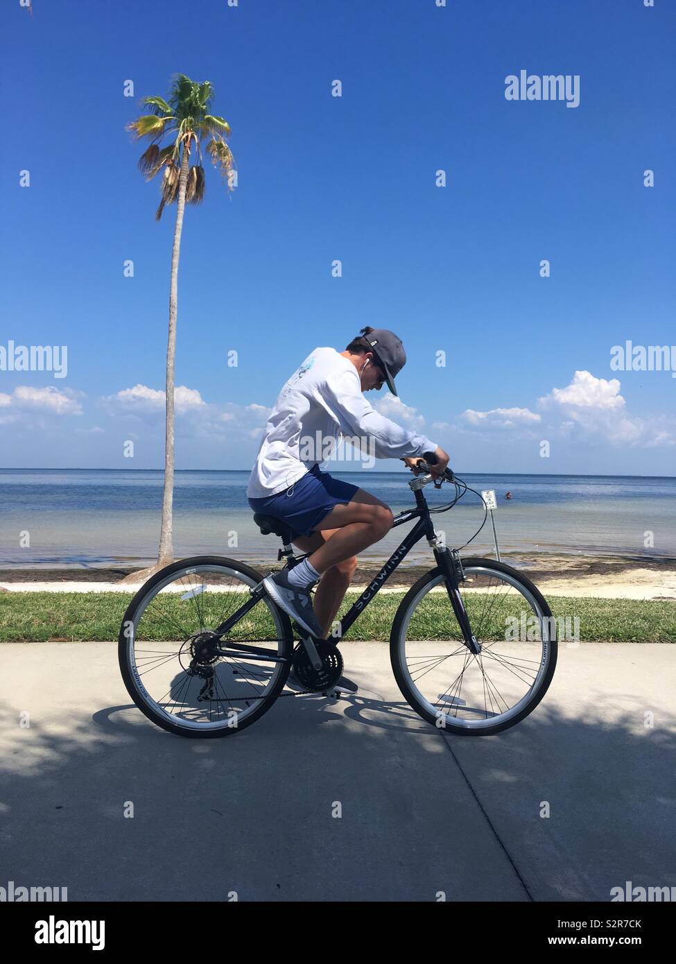 L'uomo con il cappello sulla guardando il terreno, pedalando attraverso un albero di palma Foto Stock