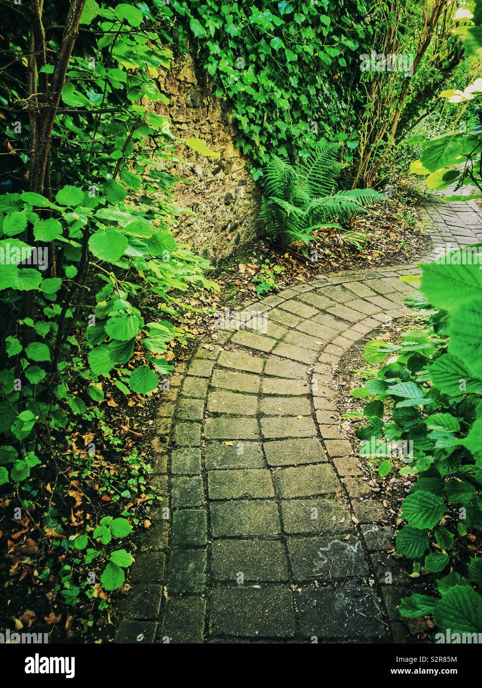 Torsione giardino lastricato sentiero accanto alla parete e piante. Foto Stock