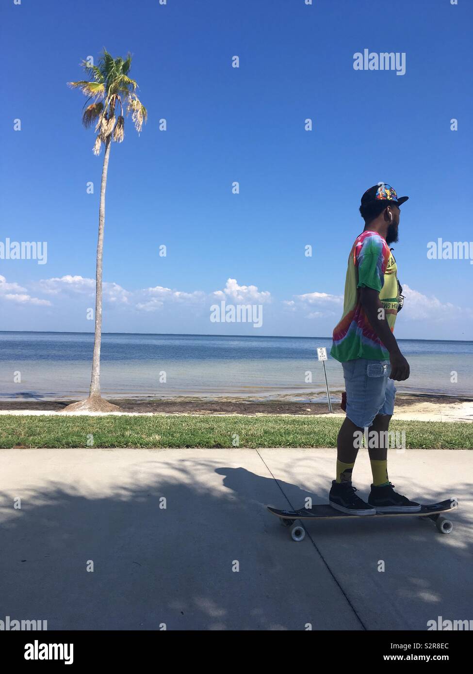 L uomo nella parte superiore colorata su skateboard da un albero di palma e il mare Foto Stock