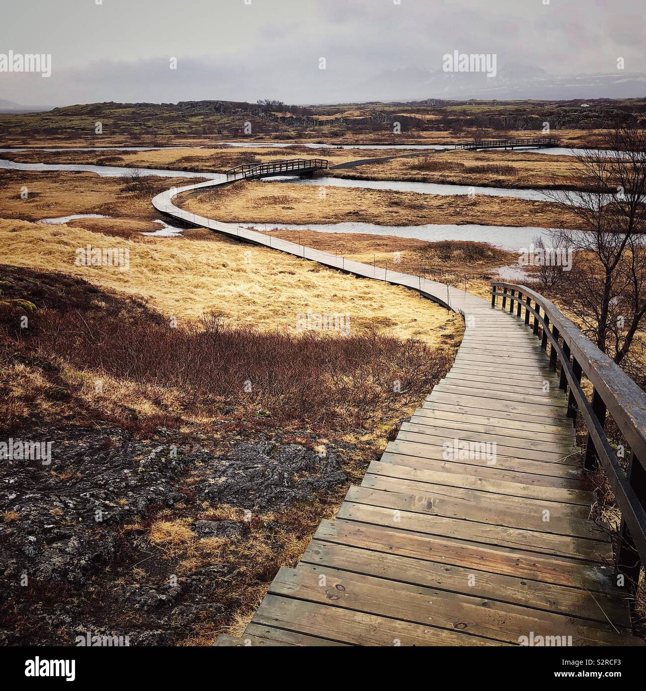 Il lungomare si snoda attraverso Þingvellir , un sito storico e il parco nazionale in Islanda, a est di Reykjavík - Immagine stock catturata con smartphone