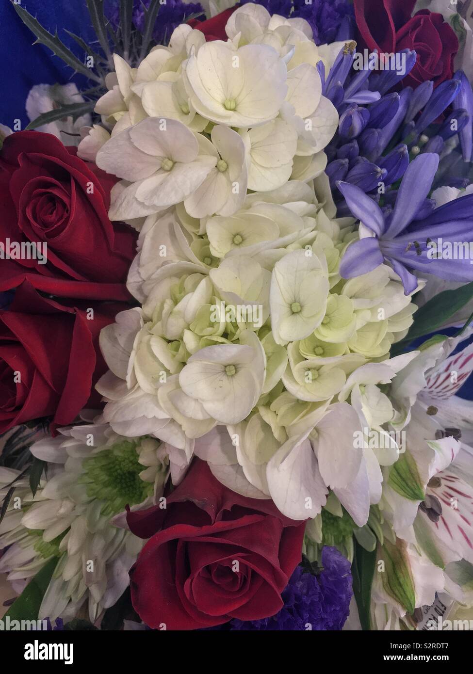 Bianco Fiori di ortensie, rose rosse e fiori viola in un bouquet di fiori freschi. Foto Stock