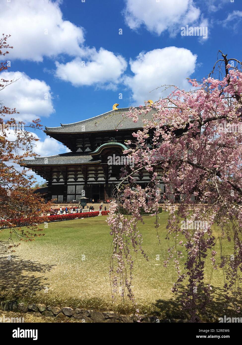 Tempio di Todai-ji in primavera, Nara, Giappone Foto Stock