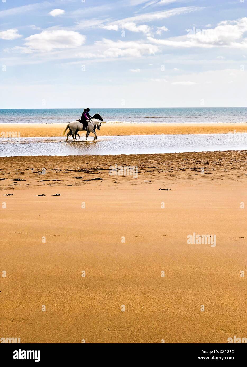 2 cavalieri su di una spiaggia di sabbia Foto Stock