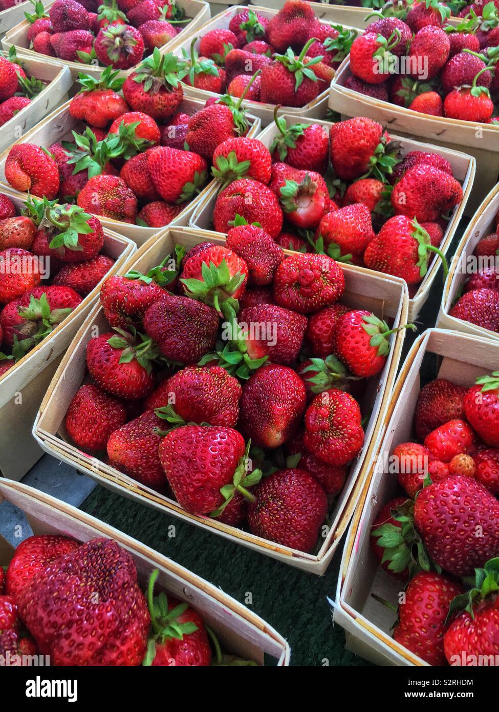 Fattoria fresco delizioso rosso Fragole ammucchiati in singolo che serve cesti. Foto Stock