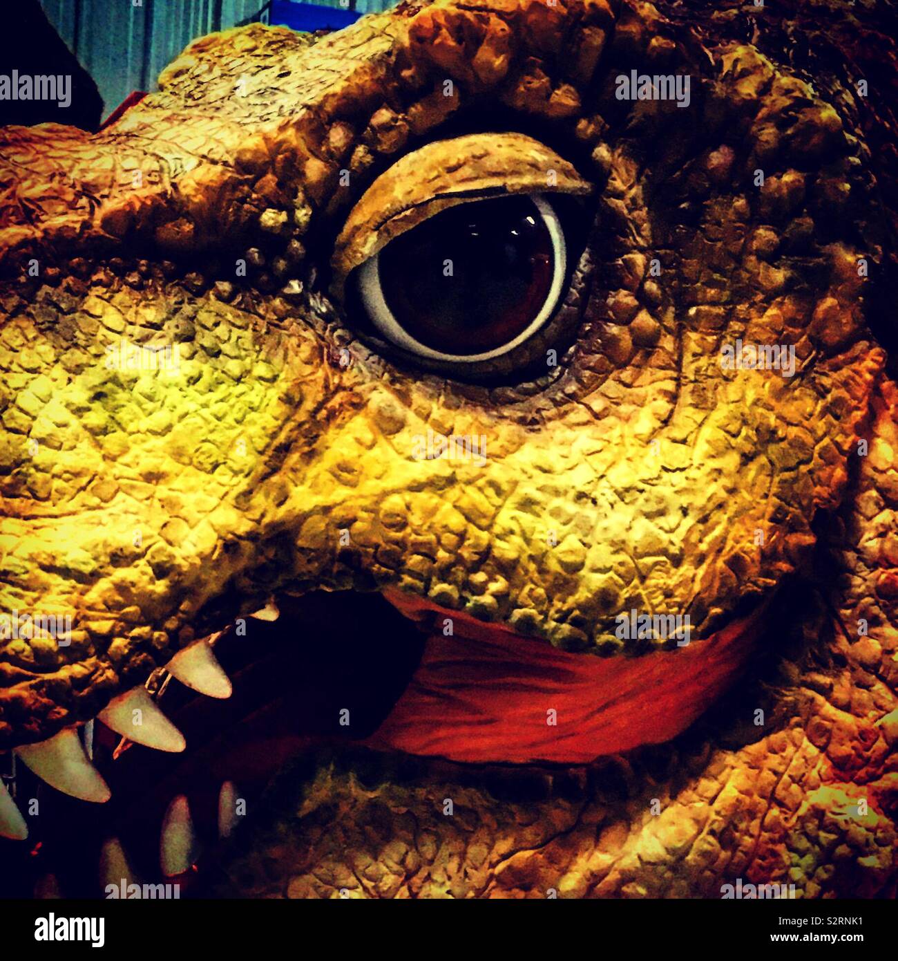 T-Rex Occhio di dinosauri guardando a voi - Immagine stock catturata con smartphone