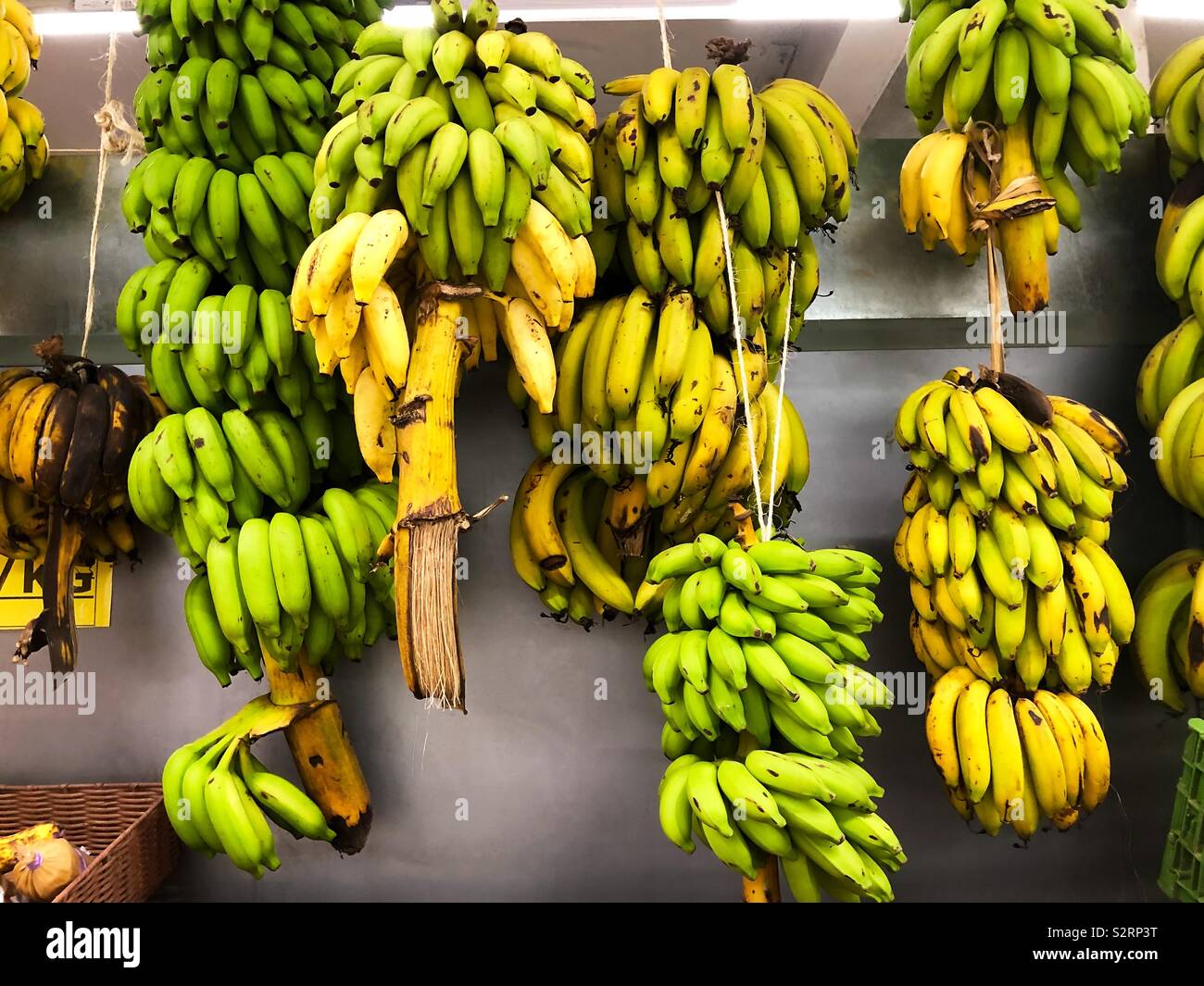 Banane appeso in un supermercato a Bora Bora, Polinesia Francese Foto Stock