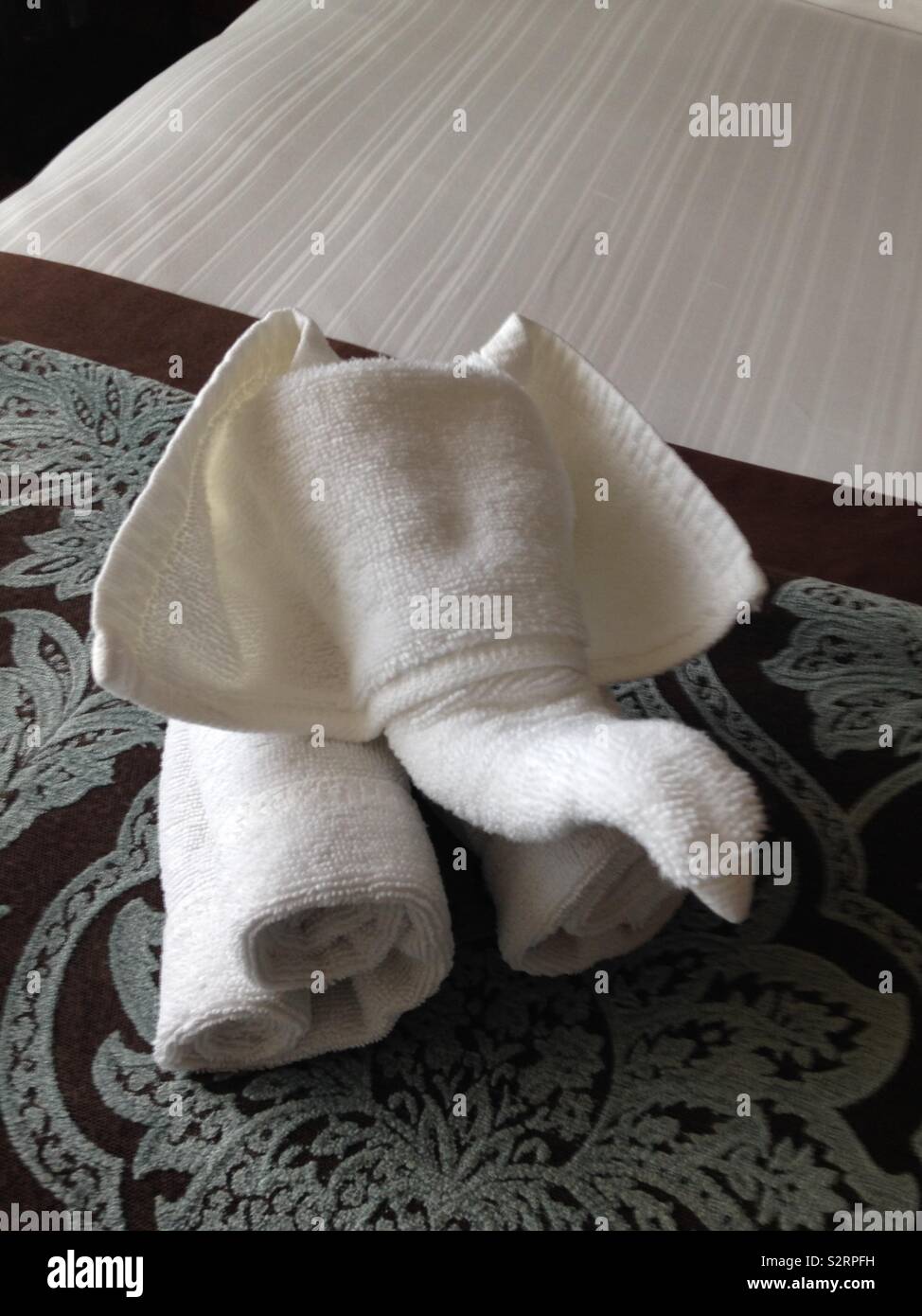 Asciugamano elefante arte Foto Stock