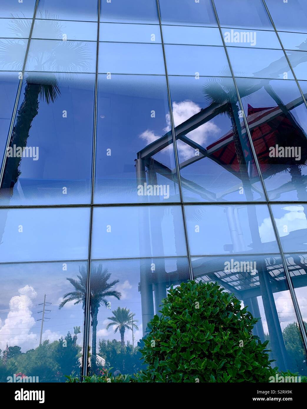 Riflessioni su un edificio di vetro con riflessi tropicali Foto Stock