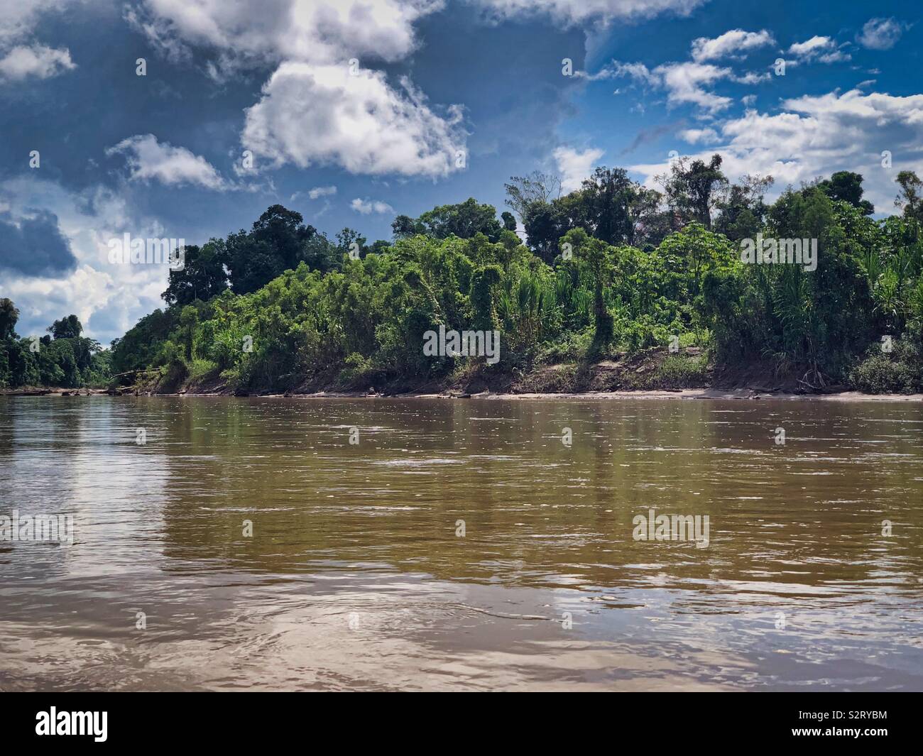 La foresta pluviale amazzonica dal fiume di Madre de Dios Manú nel Parco Nazionale del Manu Perú Perù con il passaggio di un acquazzone storm in background. Foto Stock