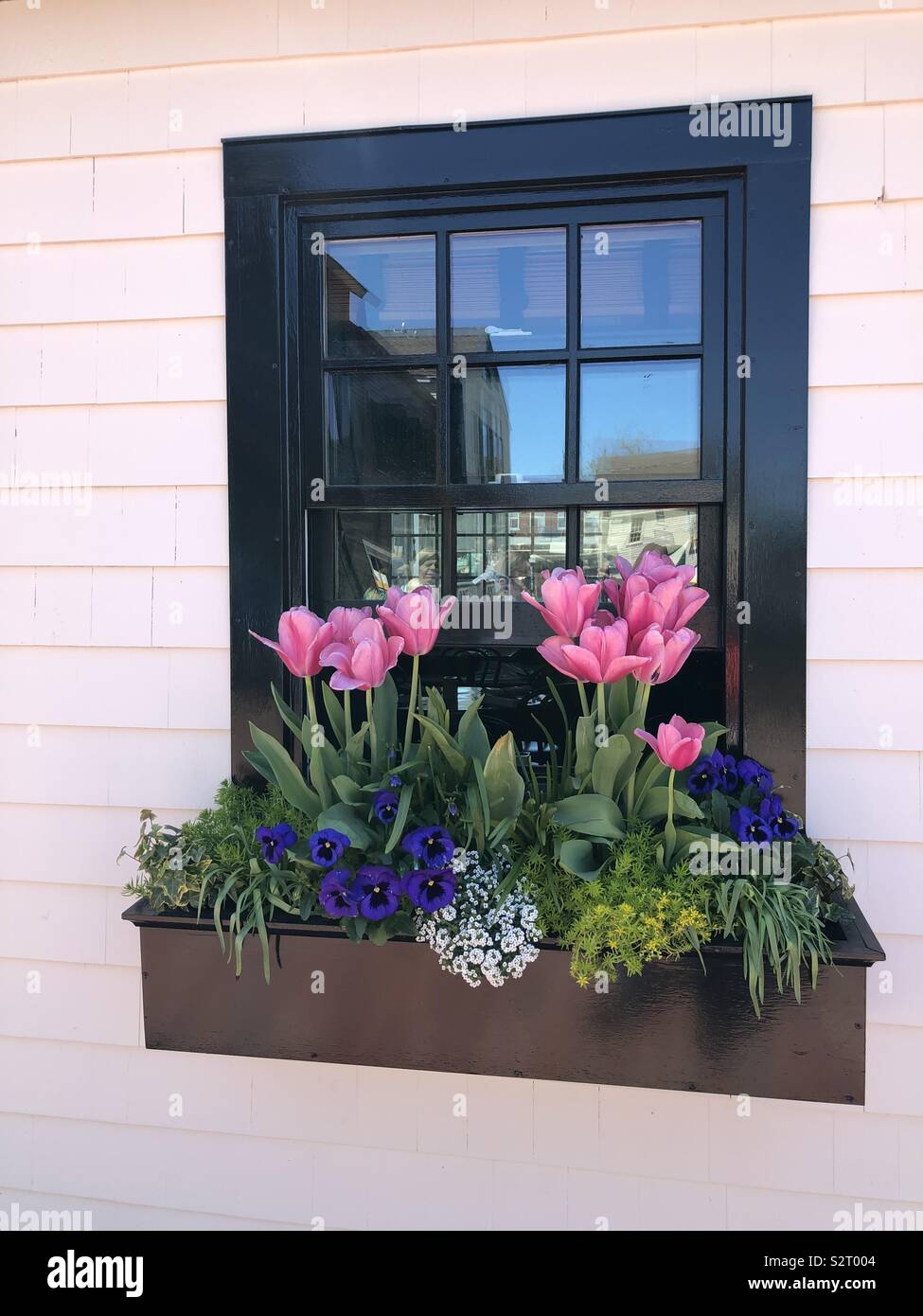 Una splendida finestra flower box display primavera in Rhode Island sulla ringhiera Wharf in Newport - Immagine stock catturata con smartphone