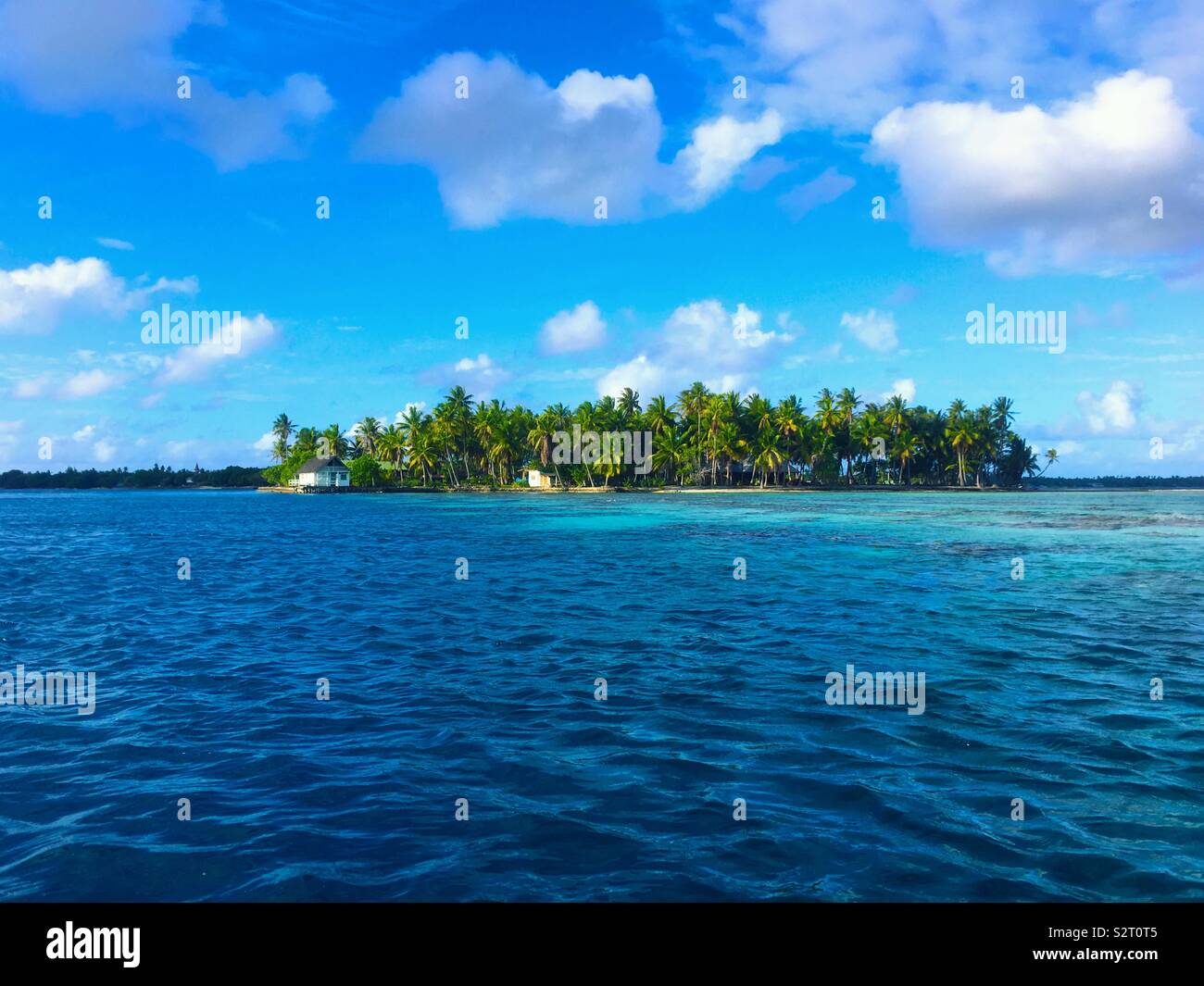 Un piccolo isolotto o motu, Blue Lagoon, Rangiroa Atoll, arcipelago delle Tuamotu Tuamotus (Isole), Polinesia Francese Foto Stock