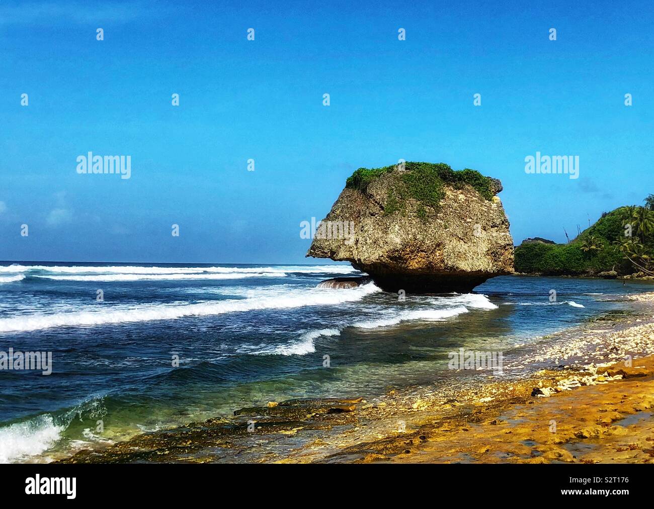 Betsabea rock a Bathsheba sulla costa est di Barbados. Foto Stock