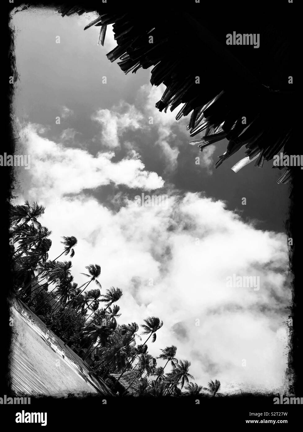 Una scena tropicale su Rangiroa, Arcipelago Tuamotu, Polinesia Francese Foto Stock