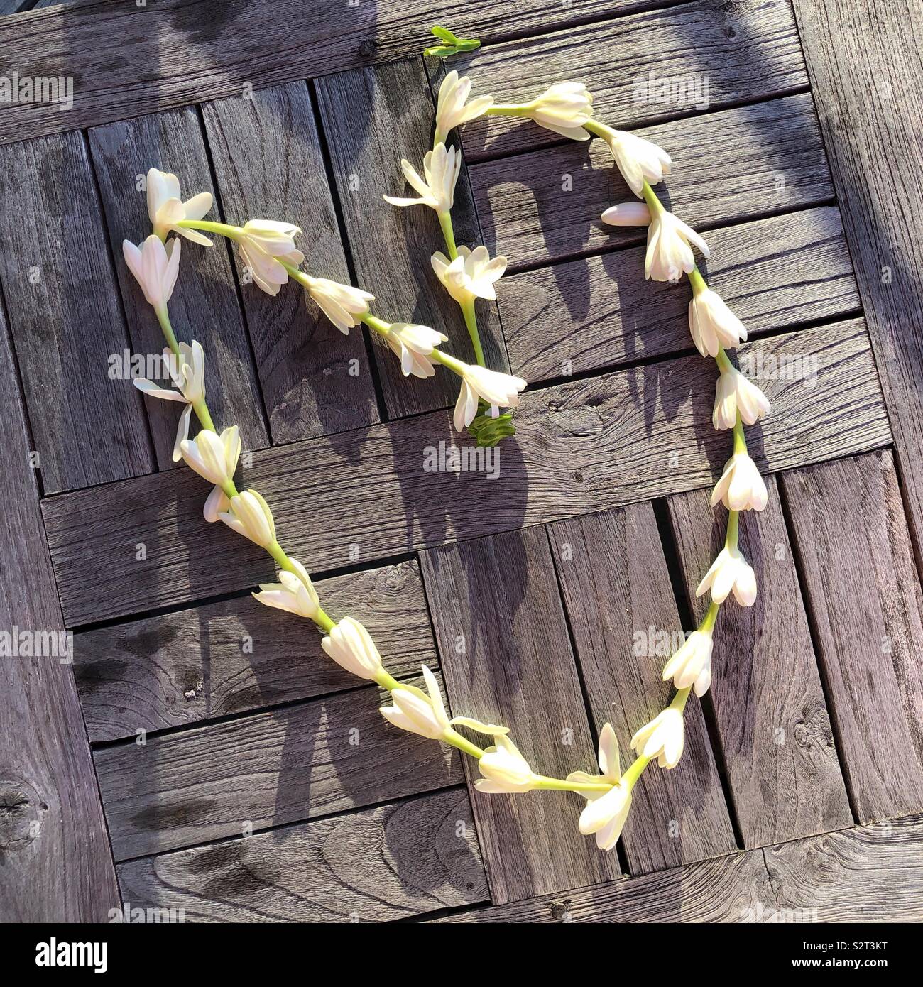 Una ghirlanda di fiori di Tierra Tahiti, o Tahitian Gardenia a forma di cuore su un rustico di una superficie di legno a Tahiti, Polinesia Francese Foto Stock