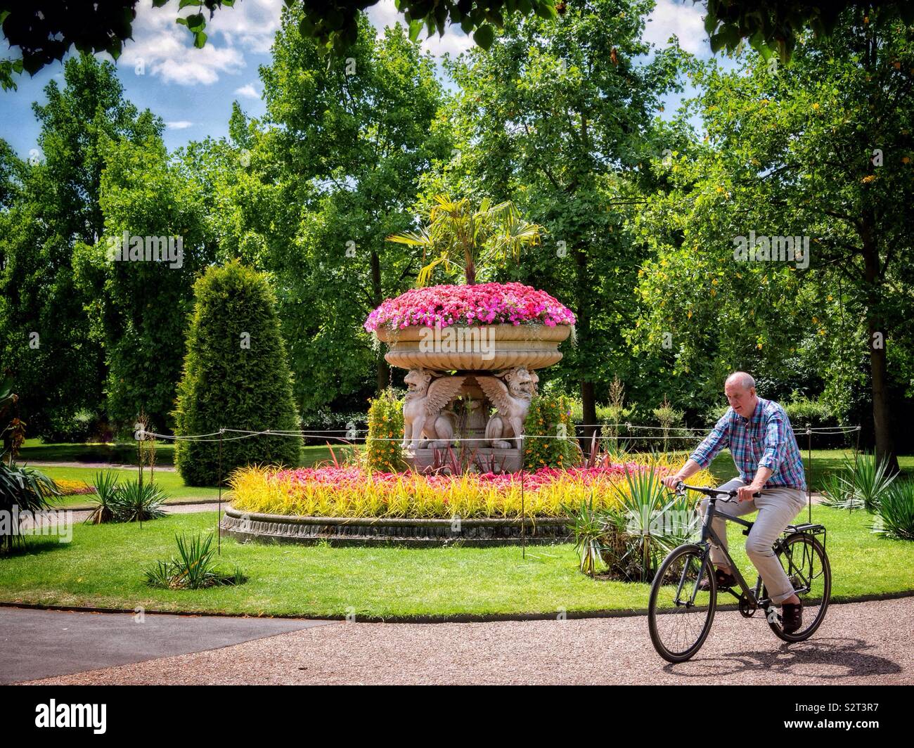 Un anziano uomo corse in bicicletta attraverso i giardini inglesi in Regent's Park di Londra in un caldo giorno d'estate e di sole - Immagine stock catturata con smartphone