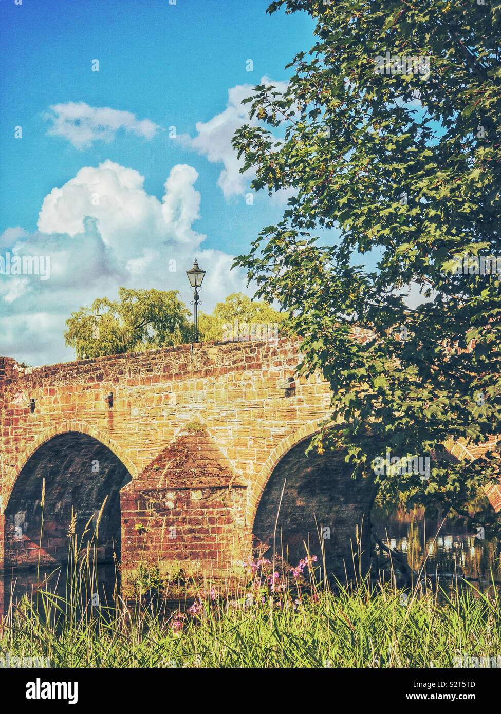 Un antico ponte in pietra con struttura ad albero e cielo blu. Foto Stock