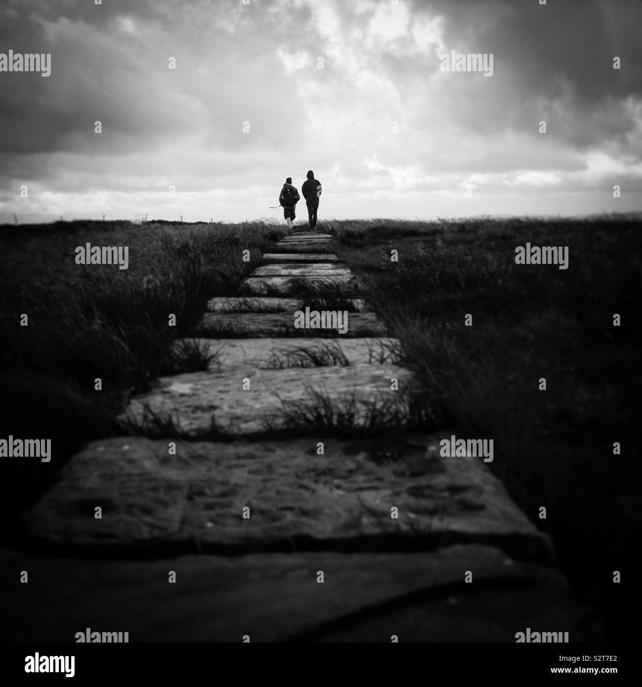 Sul tratto lastricato.... Buckden Pike, North Yorkshire, Regno Unito Foto Stock