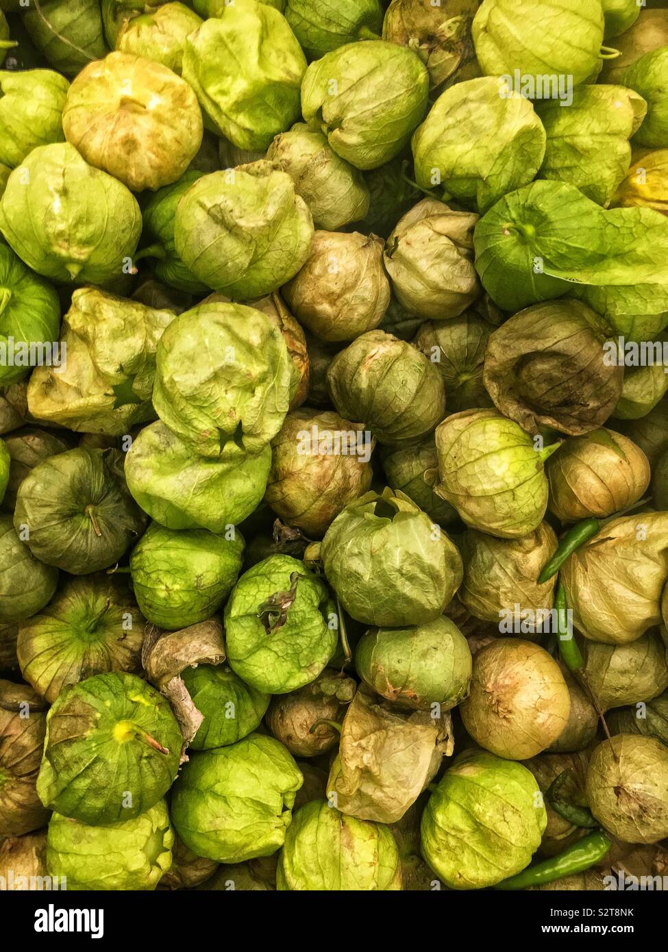 Telaio completo di fresche e mature verde crudo tomatillos. Foto Stock