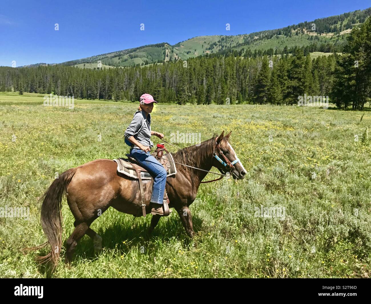 La donna a cavallo attraverso prato in Wyoming USA - Immagine stock catturata con smartphone