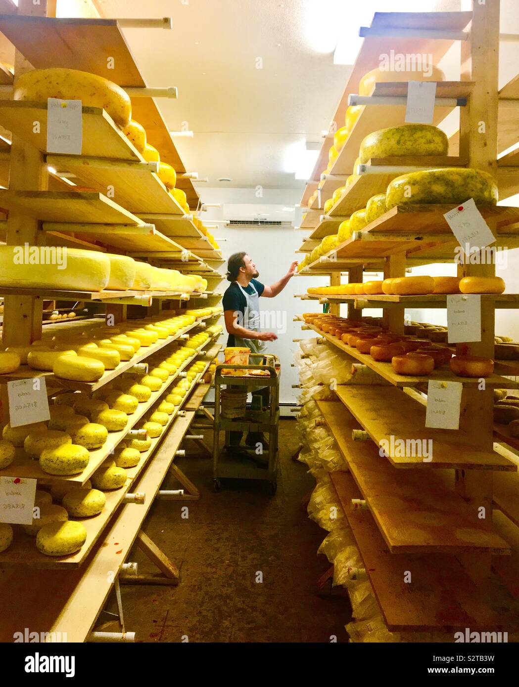 Formaggio maker in camera di formaggio Foto Stock